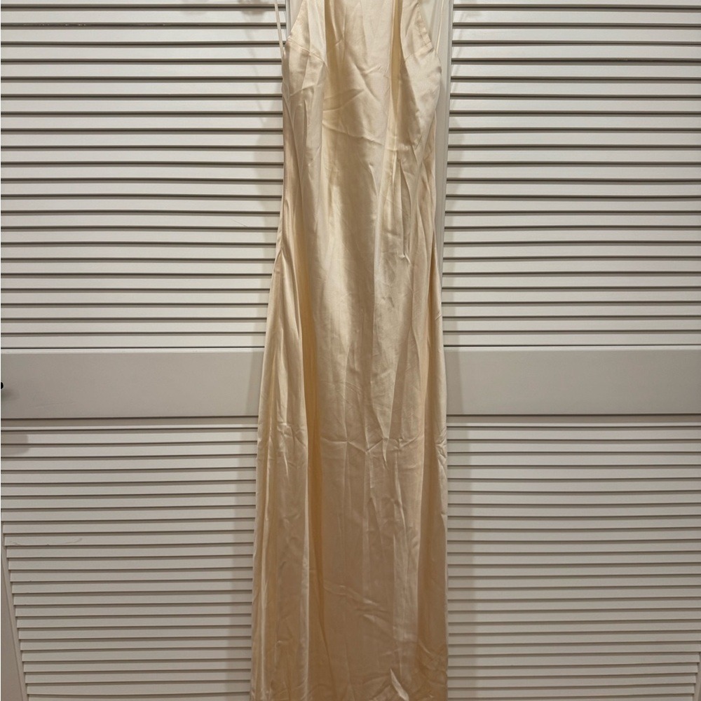 Reformation Champagne Silk Backless Halter Gown - Picture 9 of 11
